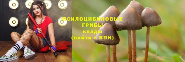 гидропоника Новодвинск