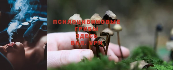 MDMA Новозыбков