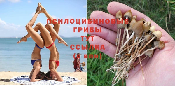 MDMA Новозыбков