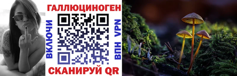 Галлюциногенные грибы Psilocybine cubensis  купить наркоту  Петровск-Забайкальский 